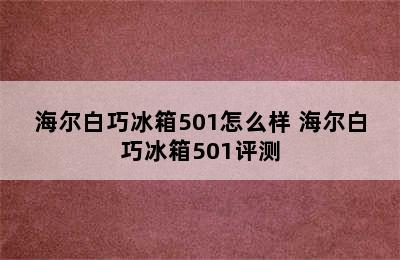 海尔白巧冰箱501怎么样 海尔白巧冰箱501评测